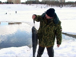Синоптики предвещают, что наступившая весна будет…