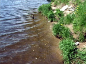 Вчера в результате аварии на подстанции в районе Капотни…