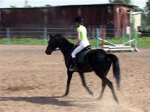 Рядом с деревней Игумново вот уже почти два года…