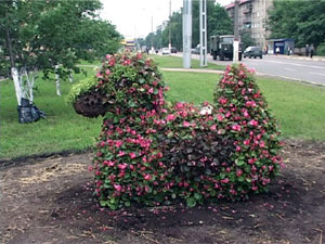 Настоящим украшением нашего города являются цветочные…