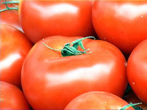 Один из самых любимых и распространенных овощей…