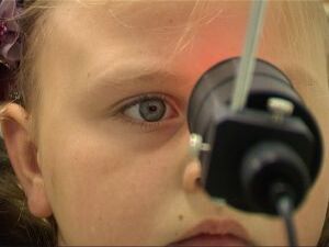 Шесть лет назад в Раменском районе появилось необычное…