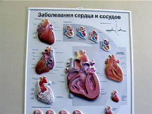 Этим летом  отделение кардиологии Раменской городской…