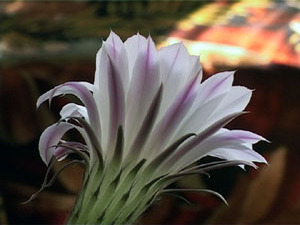 Иногда незаметные, маленькие события приносят в нашу…