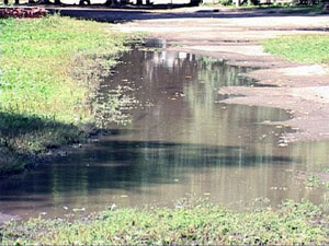 Вчера в 16 часов 30 минут в диспетчерскую объединения…