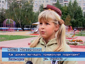 Блиц-опрос. Как должна выглядеть пришкольная территория?