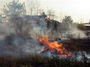 В начале пятого вечера в районе деревни Поповка…