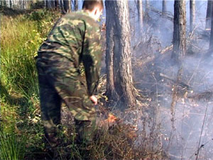 Лесной пожар возник на территории города. Наша съемочная…