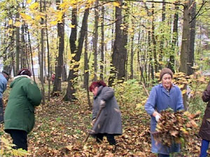 В Раменском продолжаются осенние субботники. Сотрудники…