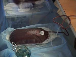 Сегодня в Раменском в ДК им. Воровского прошел День…