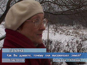 Блиц-опрос. Как вы думаете, почему ели высаживают зимой?