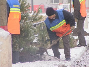 Вчера вдоль дороги по улице Левашова работники ПТО ГХ…