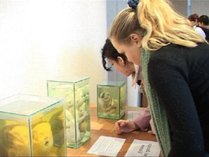 «Горькие плоды сладкой жизни». Так называется выставка…