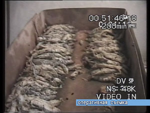 31 января сотрудники отела по борьбе с экономическими…