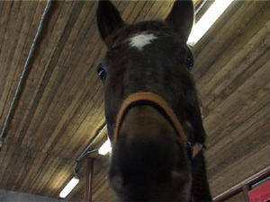 На базе 98 училища теперь можно не только научиться…