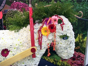 На людей посмотреть и себя показать. Возможность…