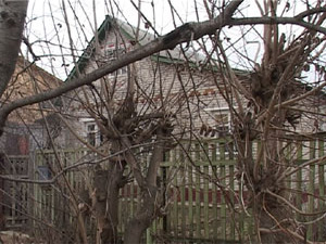 Сотрудники Раменской прокуратуры и 2ого отдела милиции…