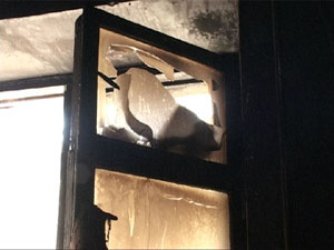 1 мая полностью выгорела квартира у одинокой матери…