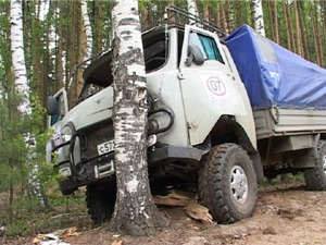2 раза в год в лесах Тверской области собираются…