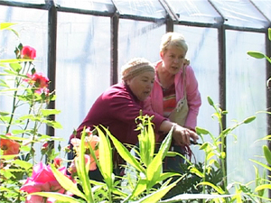 Участок Людмилы Артемьевны – цветочное царство.На…