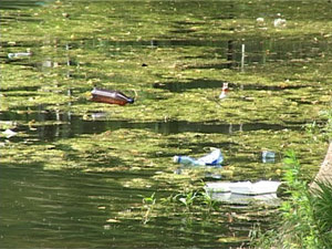 Отдых и алкоголь часто дополняют друг друга. И нередко…