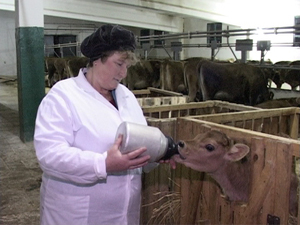 Азиатский разрез глаз и любопытный характер – так…