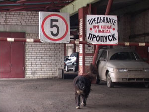 В этом году собственники гаражно-строительных…