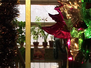 Не место красит человека, а человек место – согласно…