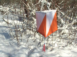 С 11 февраля начался цикл соревнований «Всероссийская…