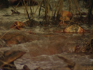 Хоть на календаре и 14 марта, на самом деле на дворе…