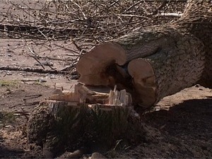 В студию Раменского телевидения обратились жильцы дома…