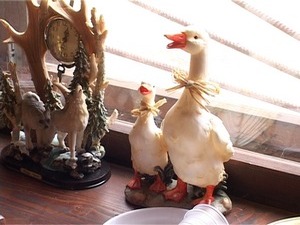 В Раменском районе открылся сезон весенней охоты. Он…