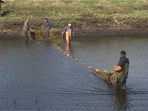 Каждую весну в районе происходит зарыбление водоемов. В…