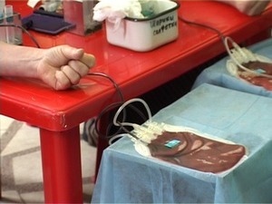 Два раза в год Комитет по делам молодежи Раменского…