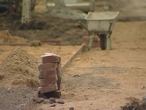 С каждым годом в городе увеличивается количество…