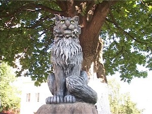 На новой площади около 21 школы несколько дней назад…