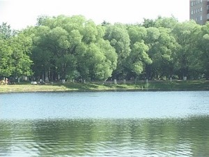 Районная экологическая программа включает в себя большое…