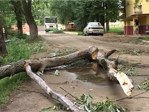 Пятница 13-го стала роковой для Подмосковного региона. В…