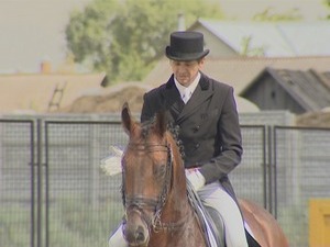 Выездка, полоса препятствий, конкур – это традиционная…