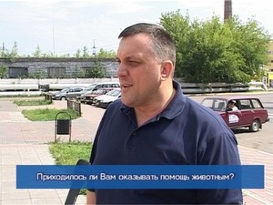 Блиц-опрос. Приходилось ли Вам оказывать помощь животным?