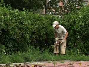Центр сельского поселения Новохаритоновское, поселок…