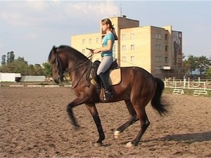 На днях в Тверской области прошли Всероссийские…