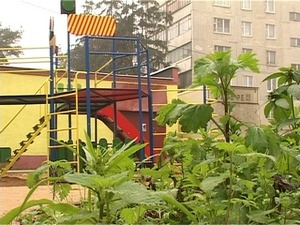 На прошлой неделе город Раменское признали лучшим в…