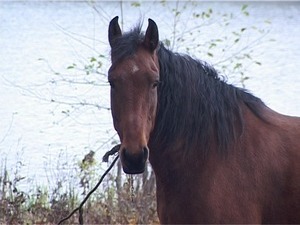 С начала этой недели телефон нашей редакции разрывается…