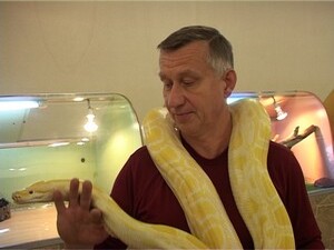 Самая большая в мире лягушка и миниатюрная обезьяна…