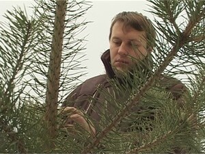 Около 30 лет назад в предверии нового года с выбором…