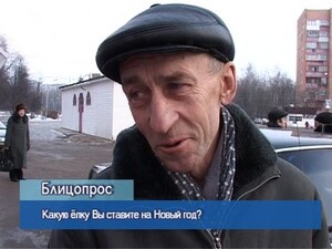 Блиц-опрос. Какую ёлку вы ставите на Новый год?