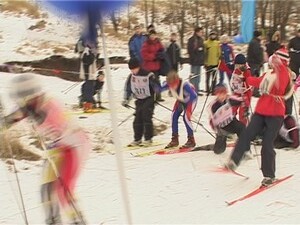 Нынешнию зиму и зимой назвать трудно. Снег выпадал еще в…