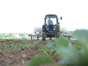 На территории района сельскохозяйственным производством…