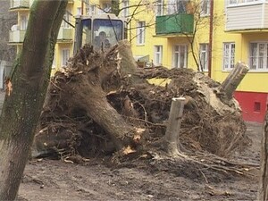 У жителей домов, расположенных в районе озера Пионер…